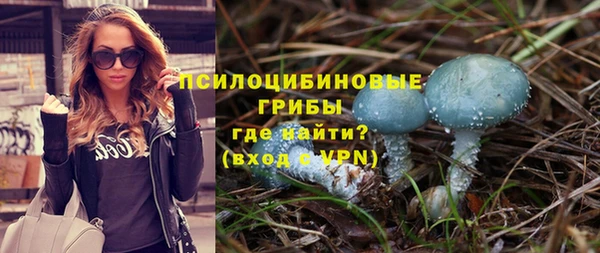 2c-b Осташков