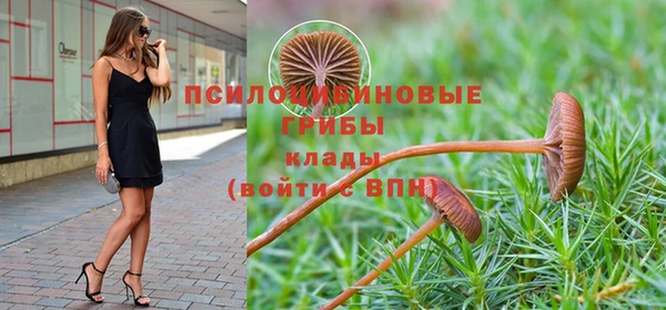 2c-b Осташков